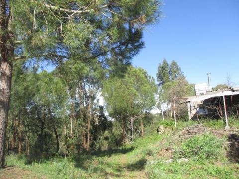 Quinta T0 Venda em Castelo Branco,Castelo Branco
