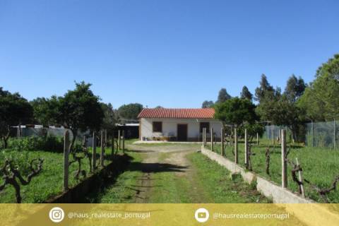Quinta T0 Venda em Castelo Branco,Castelo Branco