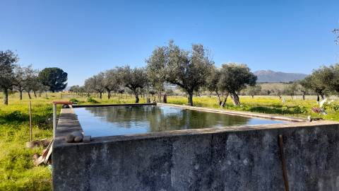 Quinta T0 Venda em Vila Velha de Ródão,Vila Velha de Rodão