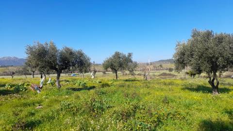 Quinta T0 Venda em Vila Velha de Ródão,Vila Velha de Rodão
