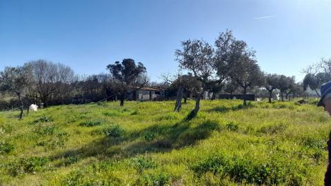 Quinta T0 Venda em Vila Velha de Ródão,Vila Velha de Rodão