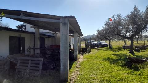 Quinta T0 Venda em Vila Velha de Ródão,Vila Velha de Rodão