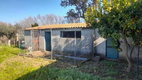 Quinta T0 Venda em Vila Velha de Ródão,Vila Velha de Rodão