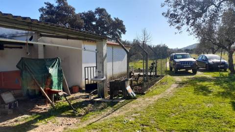 Quinta T0 Venda em Vila Velha de Ródão,Vila Velha de Rodão