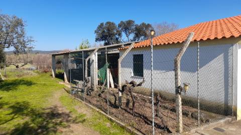 Quinta T0 Venda em Vila Velha de Ródão,Vila Velha de Rodão