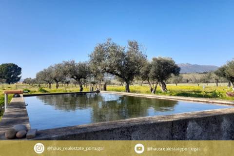 Quinta T0 Venda em Vila Velha de Ródão,Vila Velha de Rodão