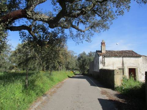 Quinta com habitação, poço, sobreiro, casa