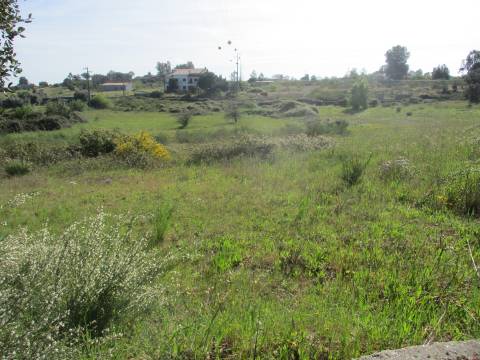 Quinta com habitação, poço, sobreiro, casa