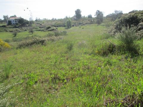 Quinta com habitação, poço, sobreiro, casa