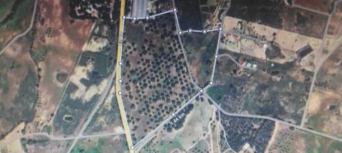 Quinta com habitação, poço, sobreiro, casa