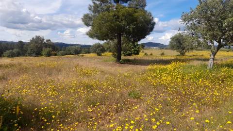 Herdade T0 Venda em Enxames,Fundão