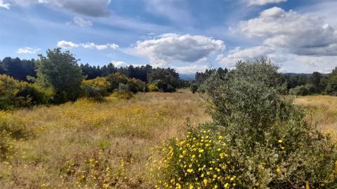 Herdade T0 Venda em Enxames,Fundão