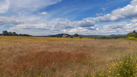 Herdade T0 Venda em Enxames,Fundão