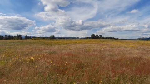 Herdade T0 Venda em Enxames,Fundão