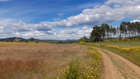 Herdade T0 Venda em Enxames,Fundão