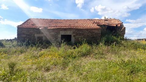 Herdade T0 Venda em Enxames,Fundão