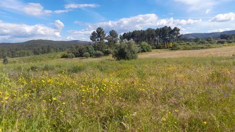 Herdade T0 Venda em Enxames,Fundão