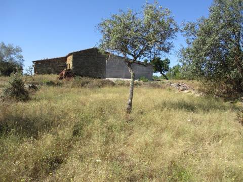 Quinta T0 Venda em Sarzedas,Castelo Branco
