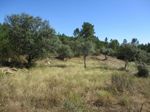 Quinta T0 Venda em Sarzedas,Castelo Branco