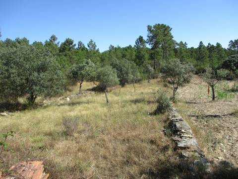 Quinta T0 Venda em Sarzedas,Castelo Branco