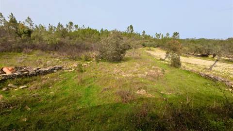 Quinta T0 Venda em Sarzedas,Castelo Branco