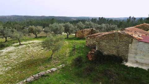 Quinta T0 Venda em Sarzedas,Castelo Branco