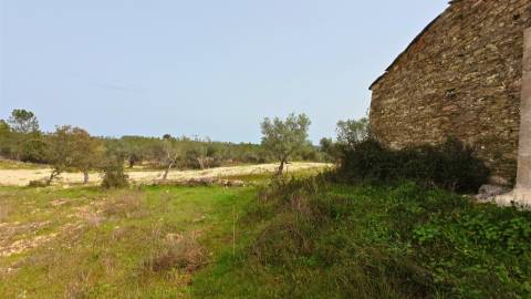 Quinta T0 Venda em Sarzedas,Castelo Branco