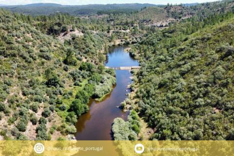 Terreno Rústico  Venda em Sarzedas,Castelo Branco