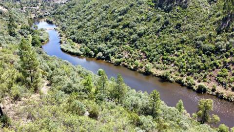 Terreno Rústico  Venda em Sarzedas,Castelo Branco