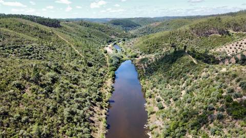 Terreno Rústico  Venda em Sarzedas,Castelo Branco