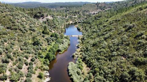 Terreno Rústico  Venda em Sarzedas,Castelo Branco