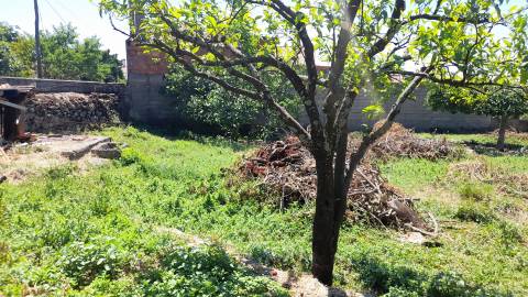 Moradia em Banda T4 Venda em Medelim,Idanha-a-Nova