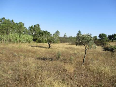 construção de pedra, terreno,