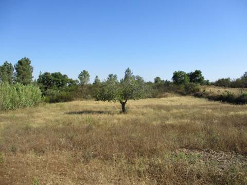 construção de pedra, terreno,