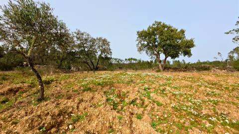 construção de pedra, terreno,