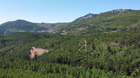 Terreno Rústico  Venda em Sarnadas de São Simão,Oleiros