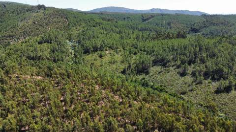 Terreno Rústico  Venda em Sarnadas de São Simão,Oleiros