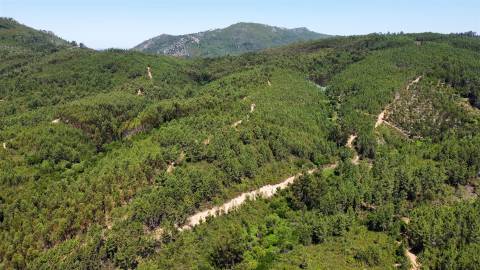 Terreno Rústico  Venda em Sarnadas de São Simão,Oleiros