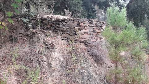 Terreno Rústico  Venda em Santo André das Tojeiras,Castelo Branco