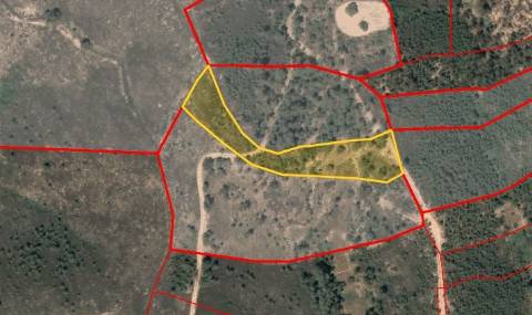 Terreno Rústico  Venda em Santo André das Tojeiras,Castelo Branco