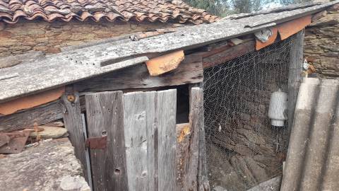 Moradia Rústica T0 Venda em Santo André das Tojeiras,Castelo Branco