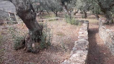 Moradia Rústica T0 Venda em Santo André das Tojeiras,Castelo Branco