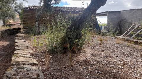 Moradia Rústica T0 Venda em Santo André das Tojeiras,Castelo Branco
