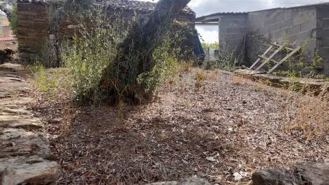 Moradia Rústica T0 Venda em Santo André das Tojeiras,Castelo Branco