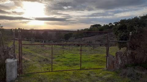 Moradia em Banda T4 Venda em Castelo Branco,Castelo Branco