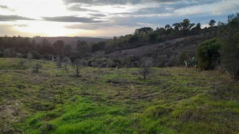 Moradia em Banda T4 Venda em Castelo Branco,Castelo Branco