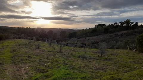 Moradia em Banda T4 Venda em Castelo Branco,Castelo Branco