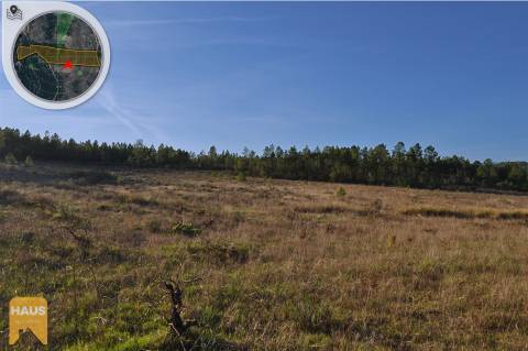 Terreno com 26.000 m² à venda em Castelo Branco.