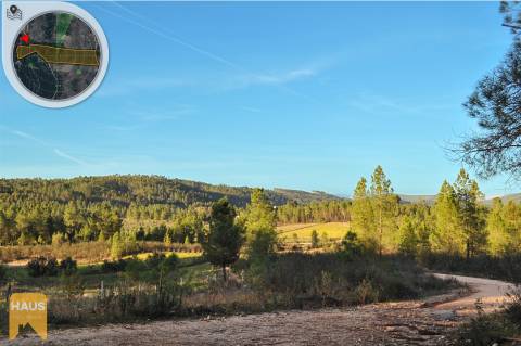 Terreno com 26.000 m² à venda em Castelo Branco.