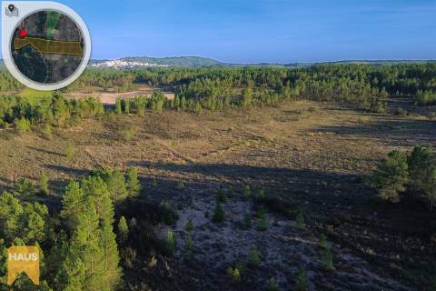 Terreno com 26.000 m² à venda em Castelo Branco.